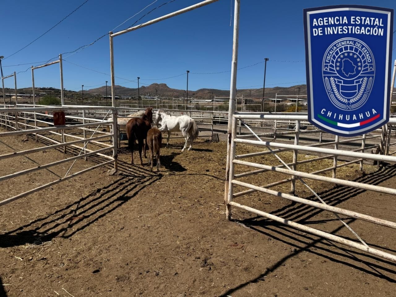 WhatsApp Image 2026-03-12 at 2.26.14 PM