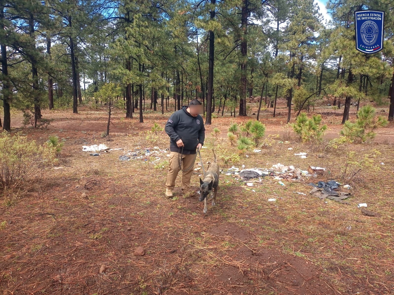 WhatsApp Image 2026-03-13 at 1.03.57 PM