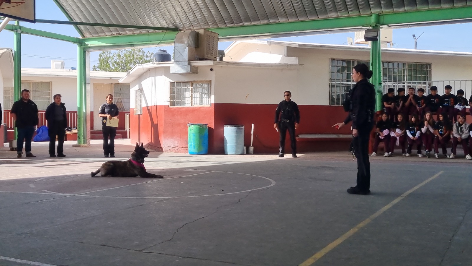 WhatsApp Image 2026-03-25 at 9.58.14 AM