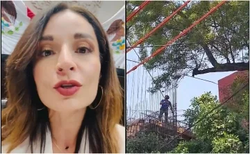 arbol-patrimonio.jpg_306608845-1