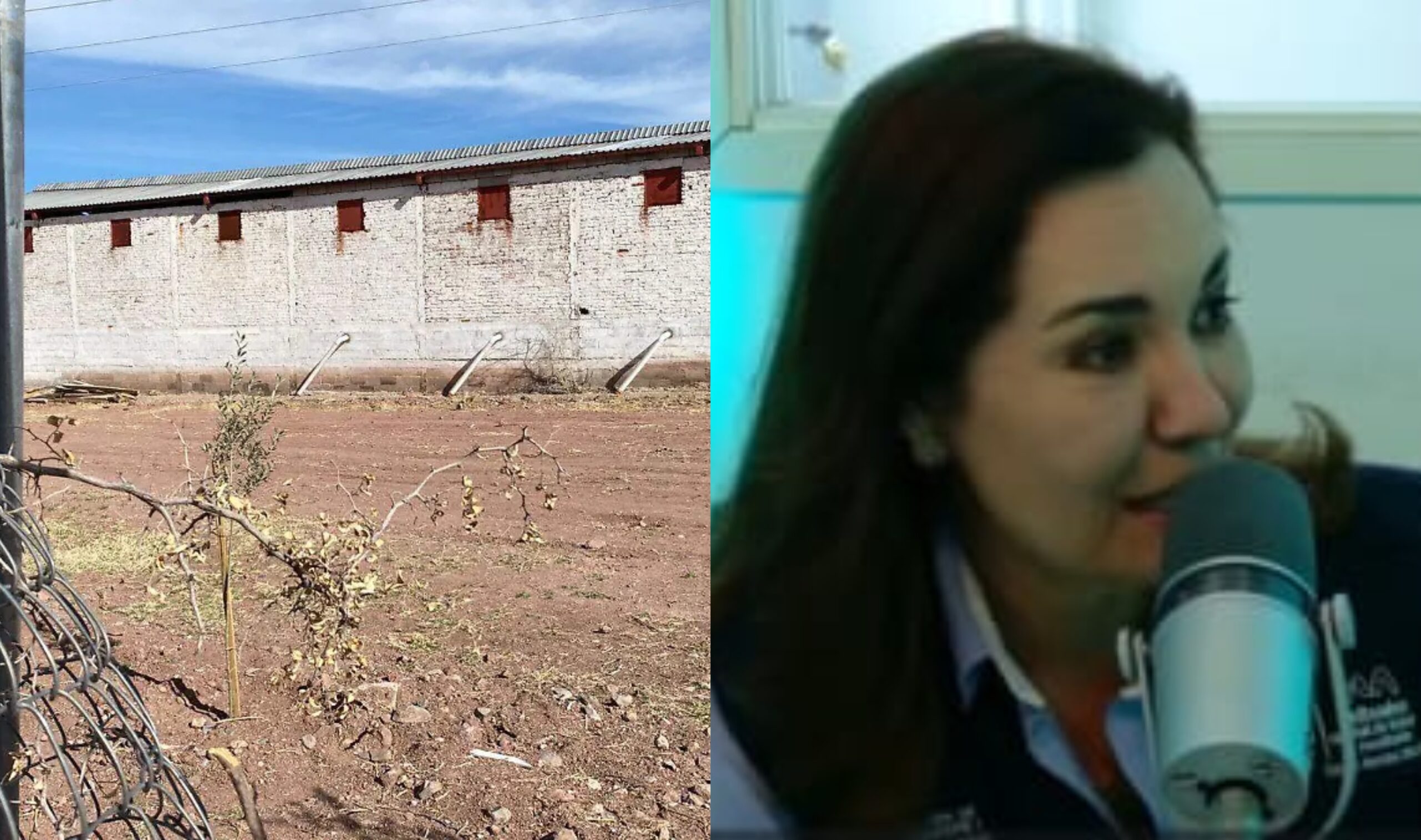 befunky_2026-2-2_8-48-30