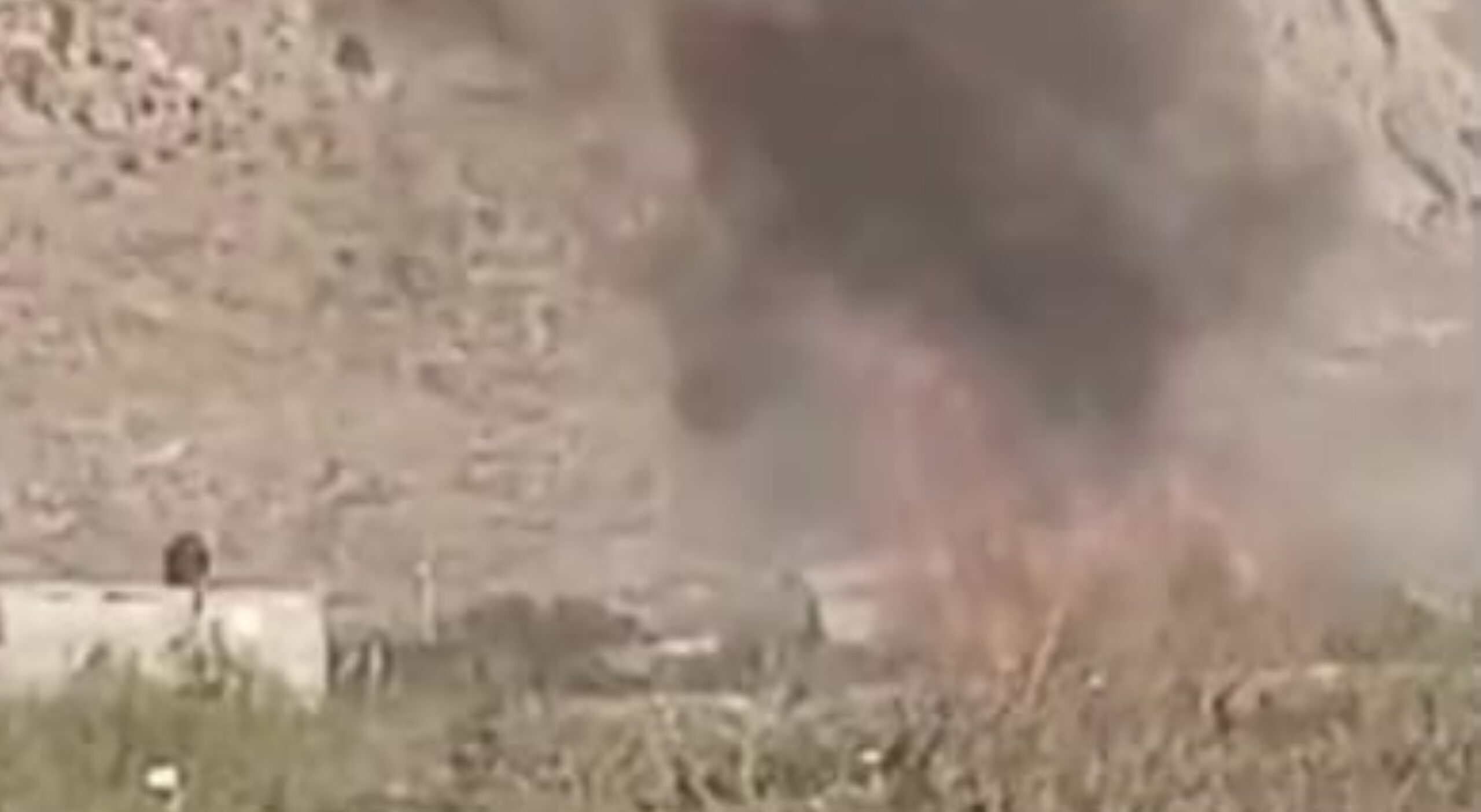 befunky_2026-2-2_8-50-44