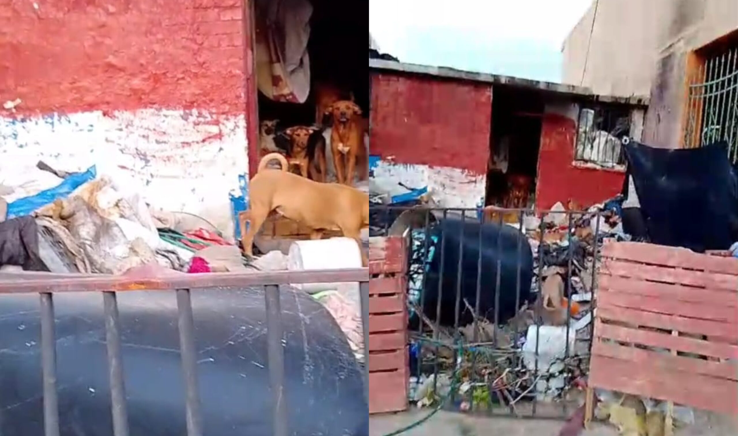 befunky_2026-2-3_6-16-41