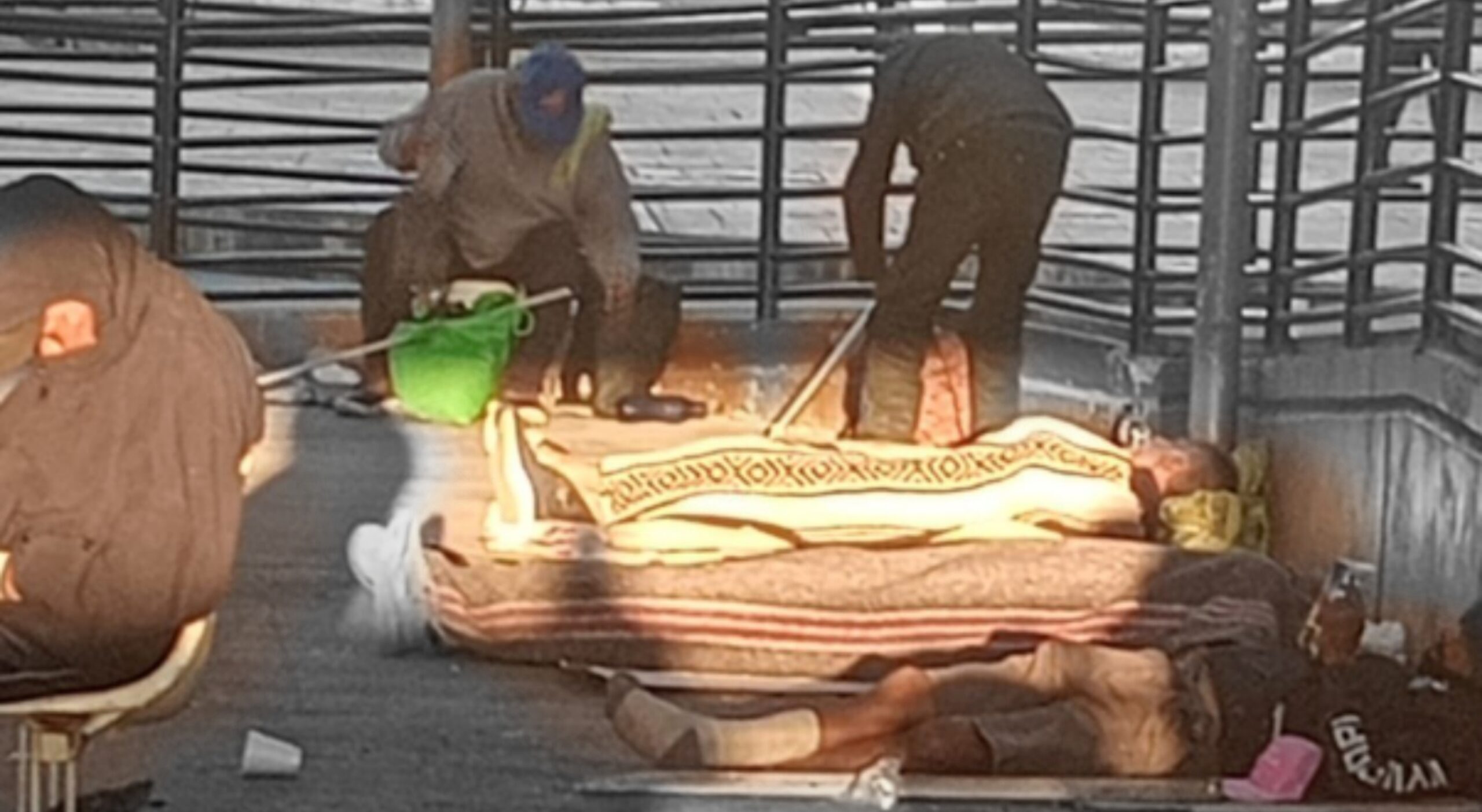 befunky_2026-2-5_8-31-53