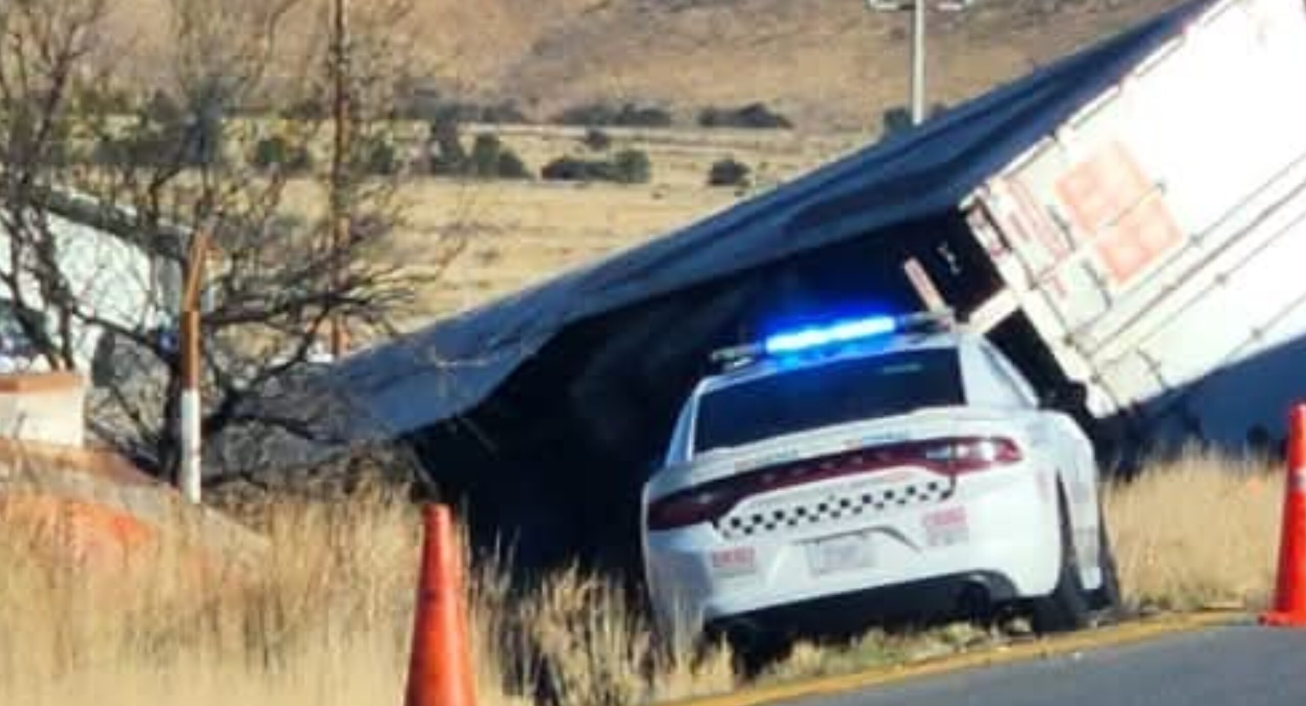 befunky_2026-2-6_11-10-35