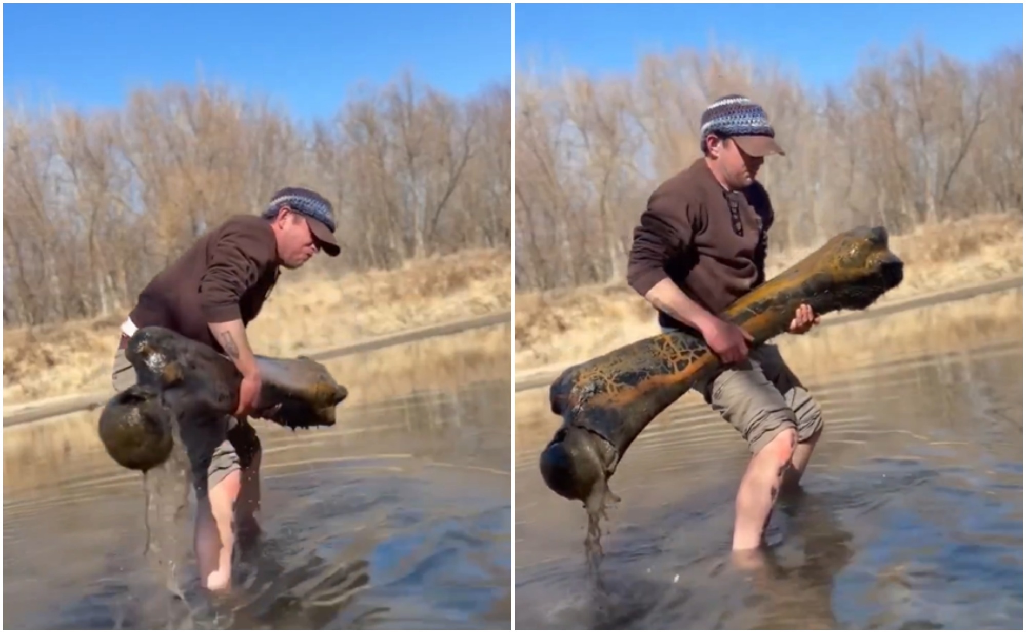 descubren_enorme_fxmur_de_mamut_en_rxo_de_missouri_tras_20_axos_de_bxsqueda_1