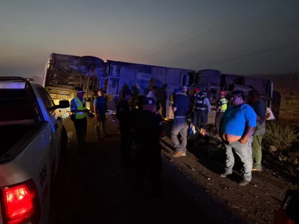 e5b2d197-a13d-4d5e-9b86-99d132cdeeb6.jpg_88188414