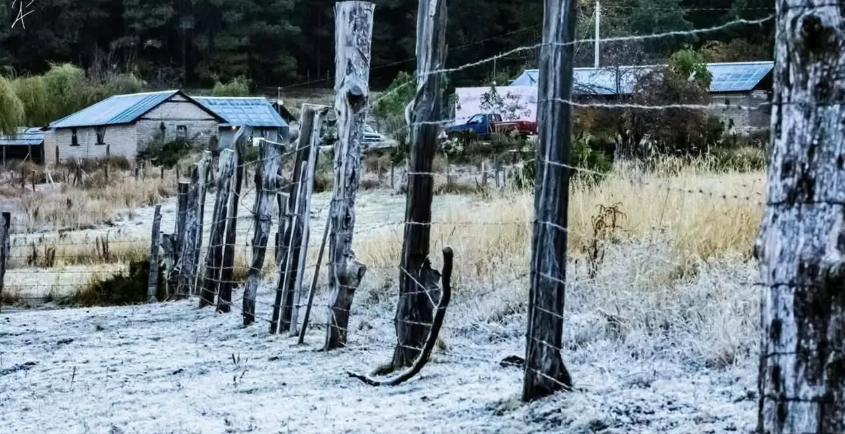 imagen_2026-03-08_192749056