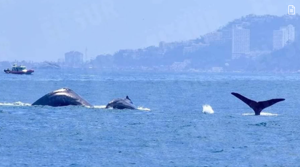 imagen_2026-03-15_135845322