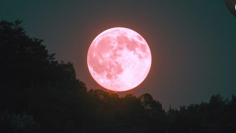 luna-rosa-origen-mexico-foto_154_34_955_538