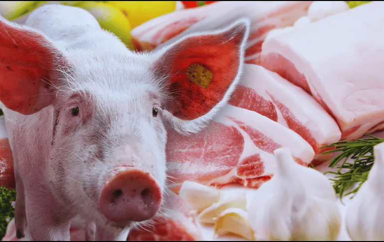 web_canva-9-_version1772650300391.png_1389647151