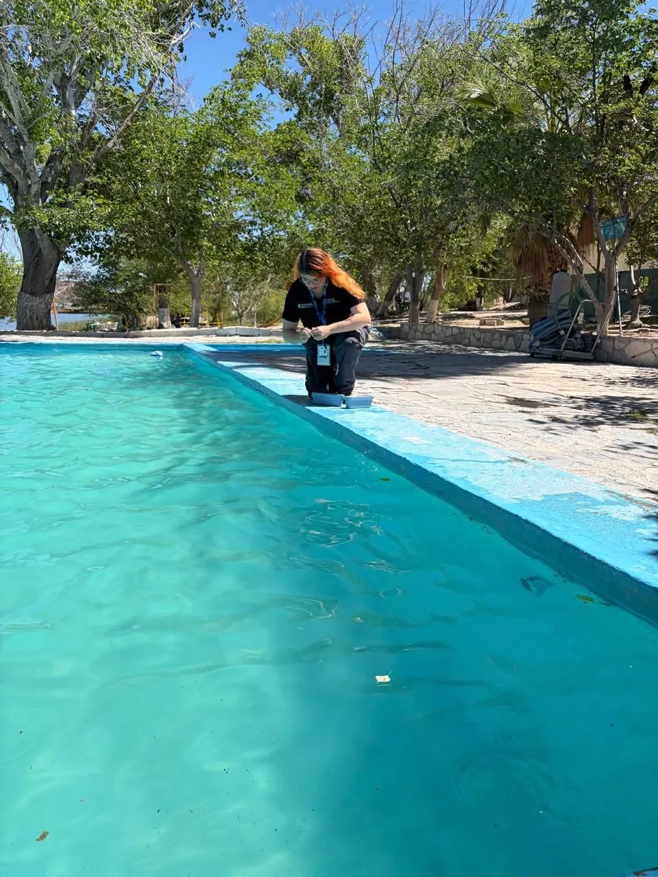 1ed95b61-ef86-4fe8-8757-29b50f394437