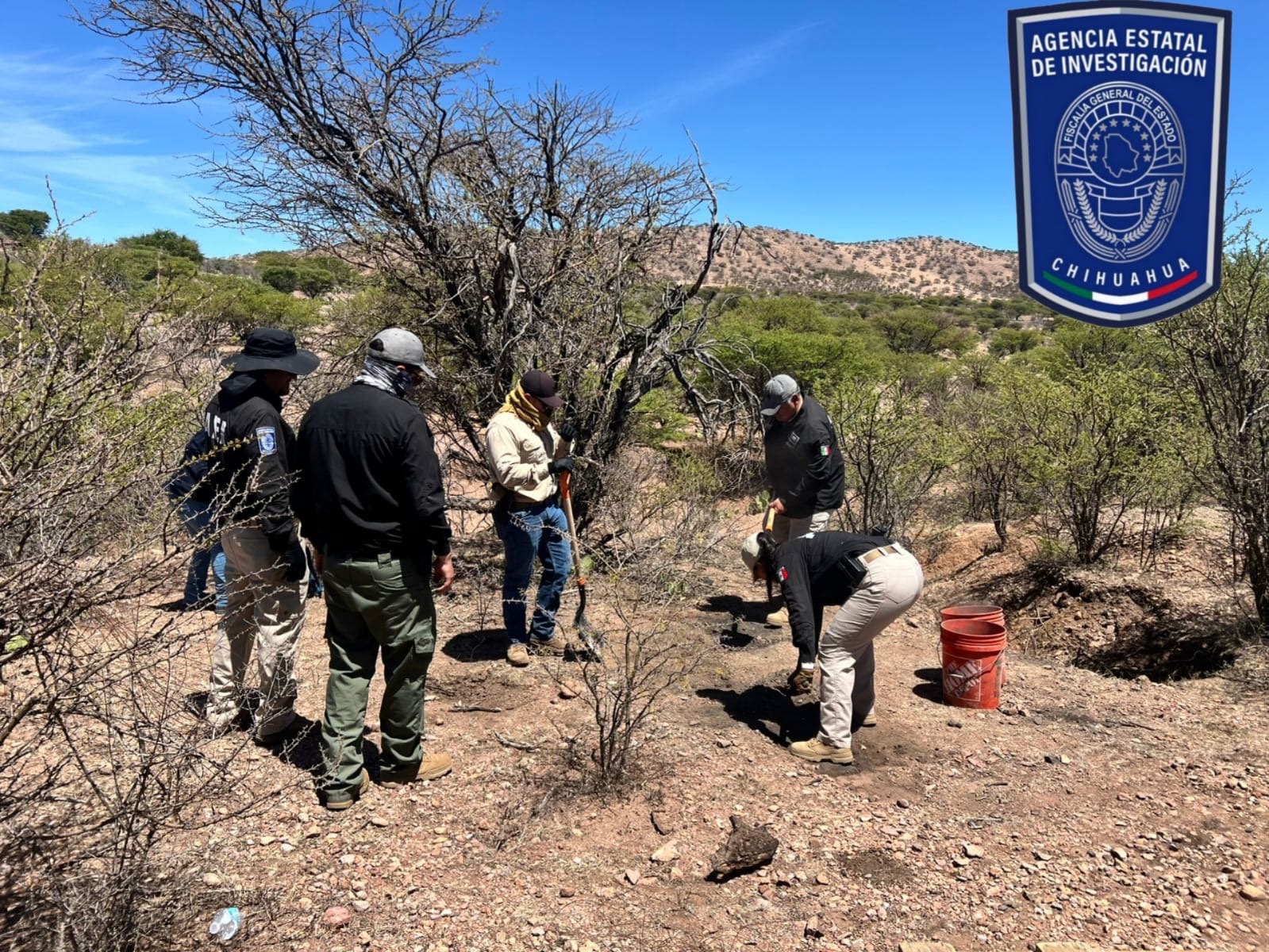 2010a9ac-b454-4a5f-b316-7b8cfce2a195