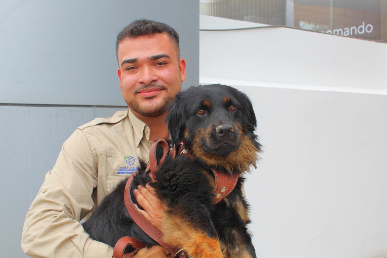 2a78ac48-18fe-4173-bd83-27dfdd2f6267