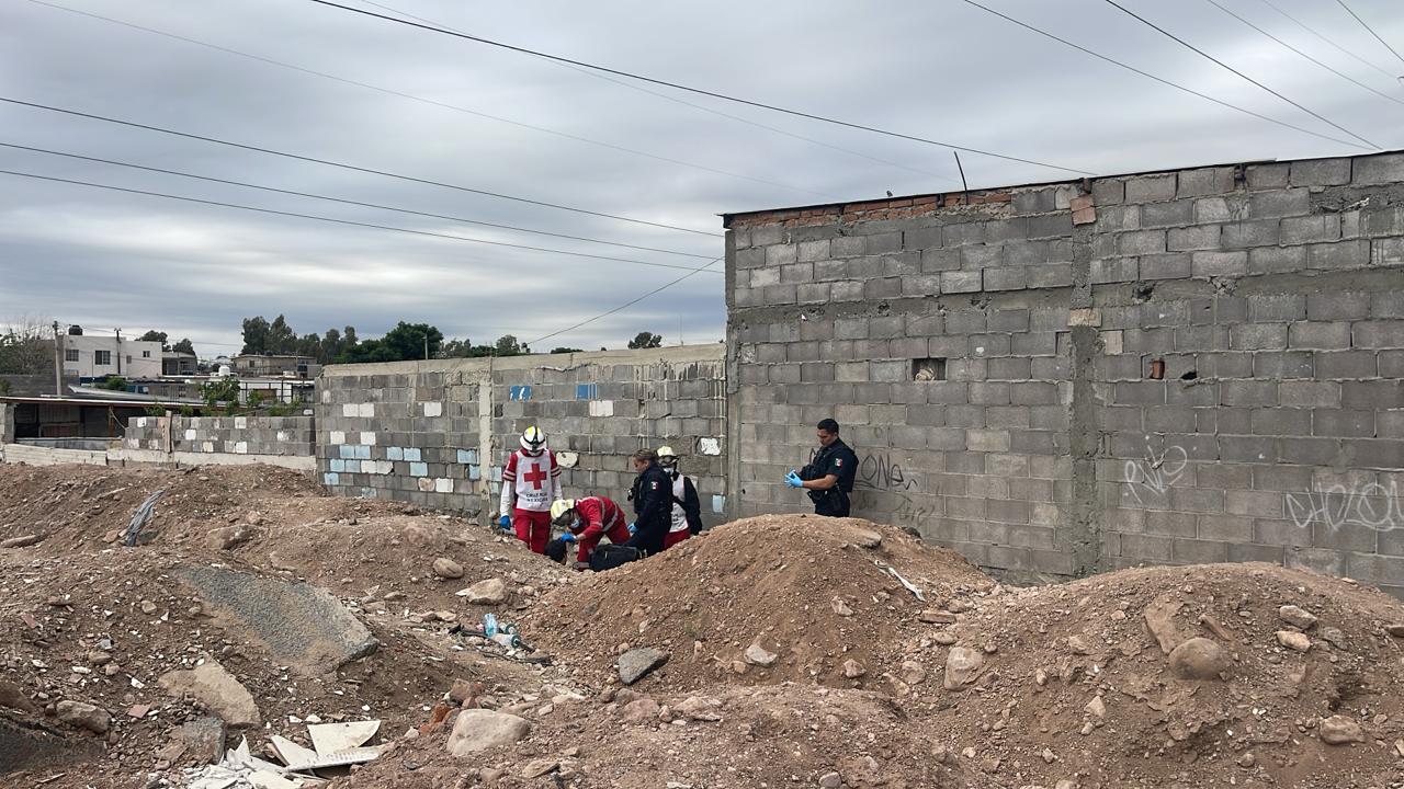 482c5dd5-cd5d-4e10-9176-0937336055ba (1)