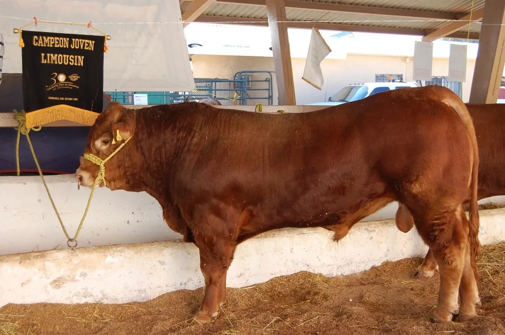 4eabb373-9d9a-448f-b11e-fede2127a1cd