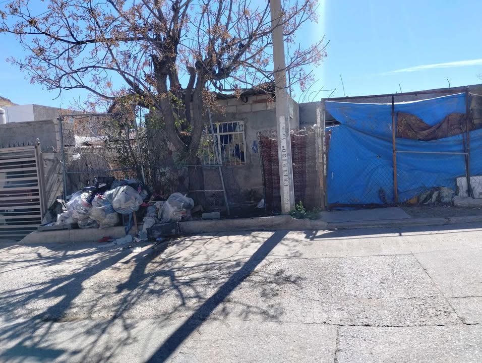 669064418_1482314696900786_5069785093260918960_n