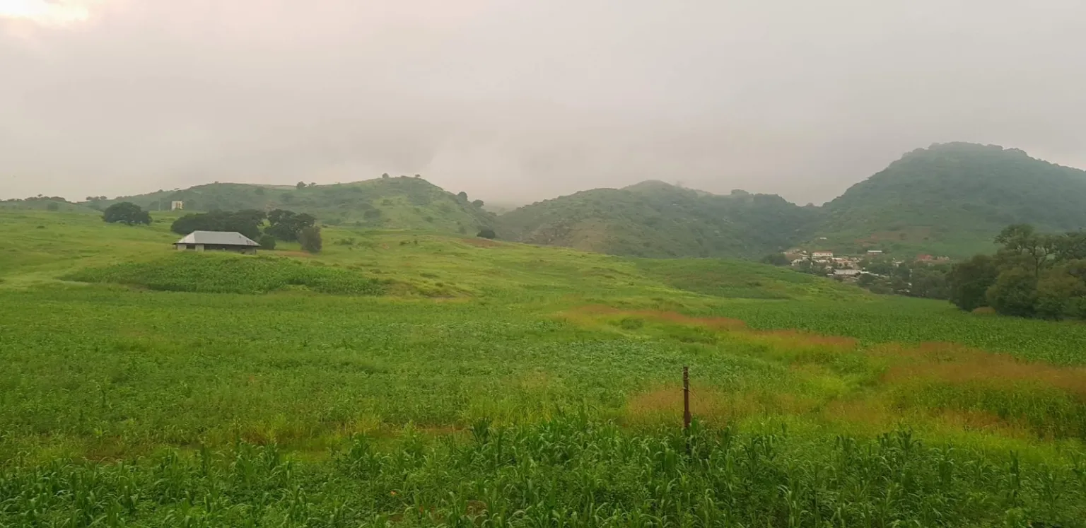 8c54c24c-fd71-43cf-b51f-07e480a0caa0