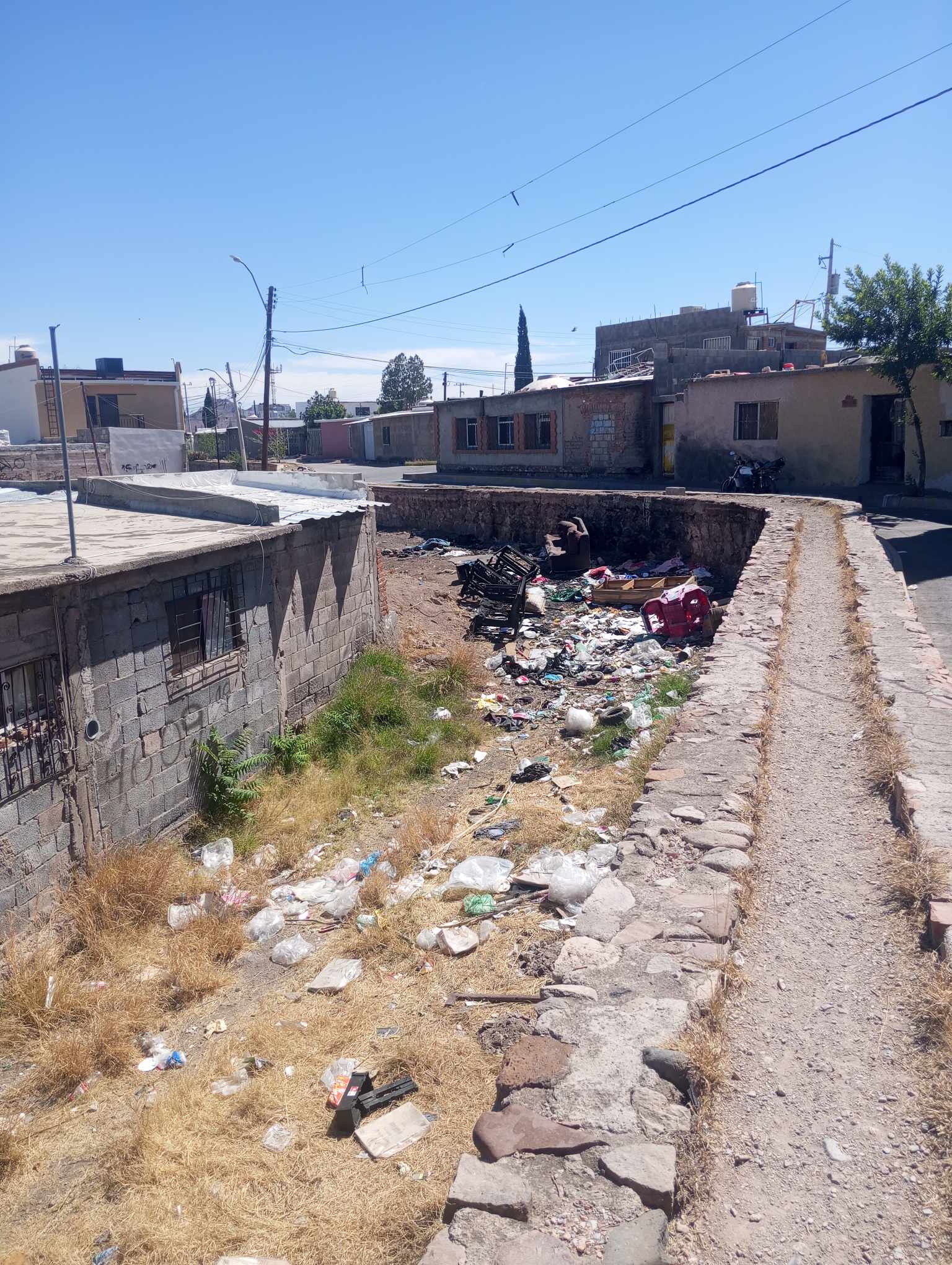 Business Suite_creation_961673242933324