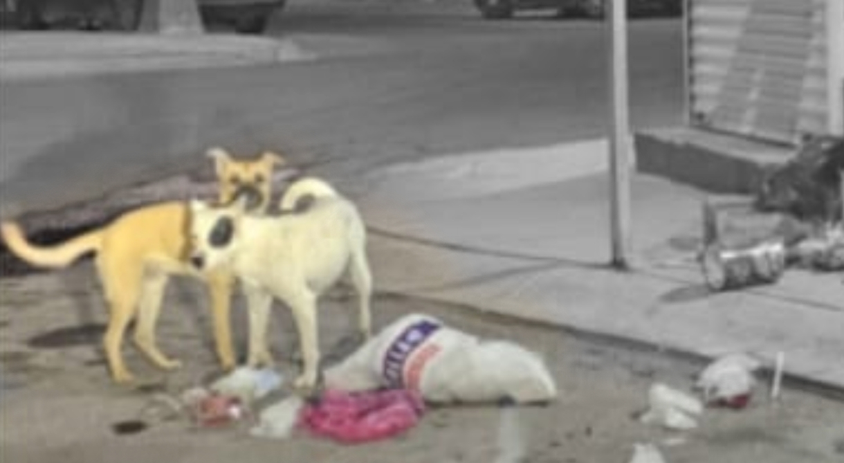 ColorPop1775048062248