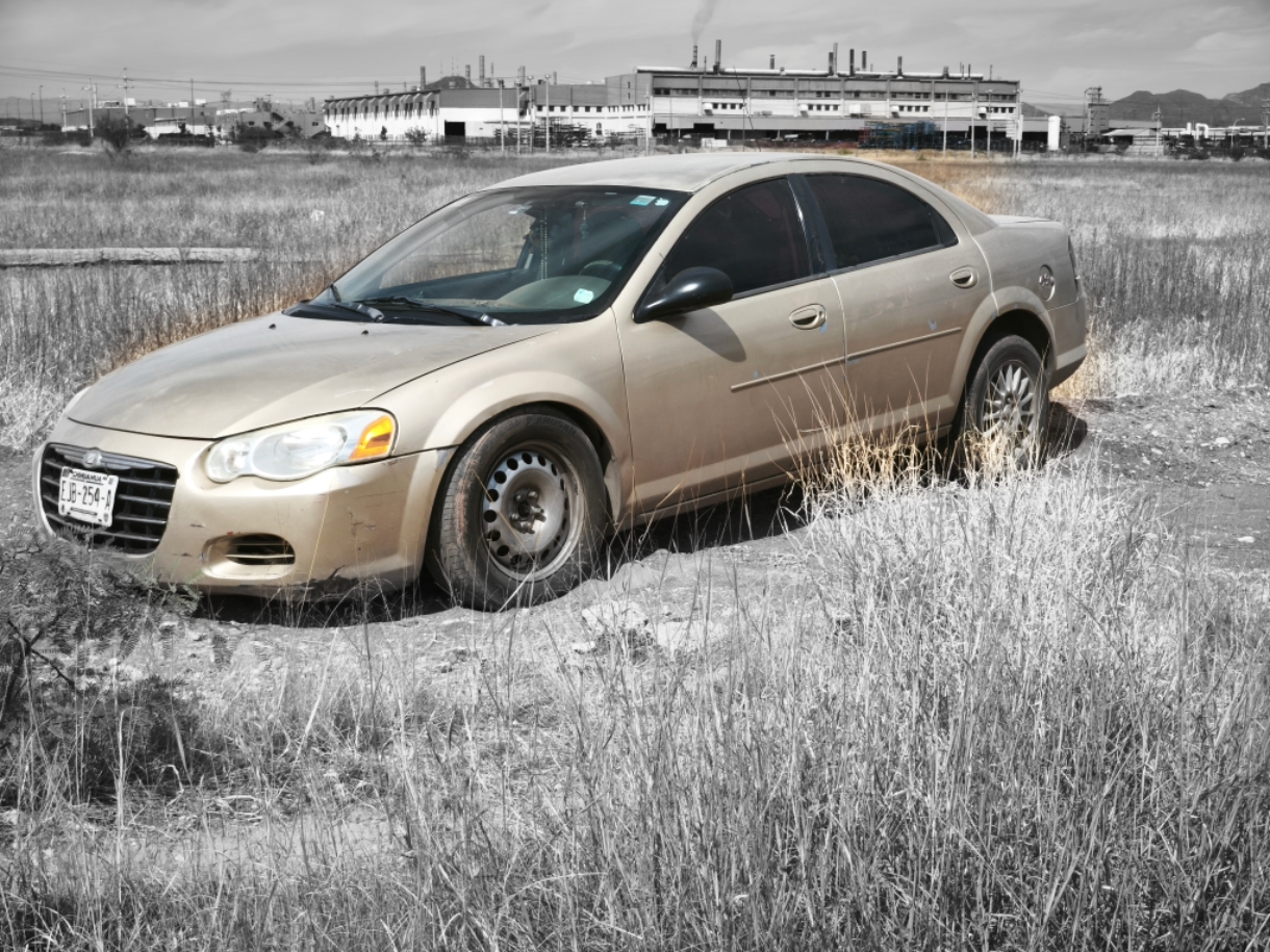 ColorPop1776359337386