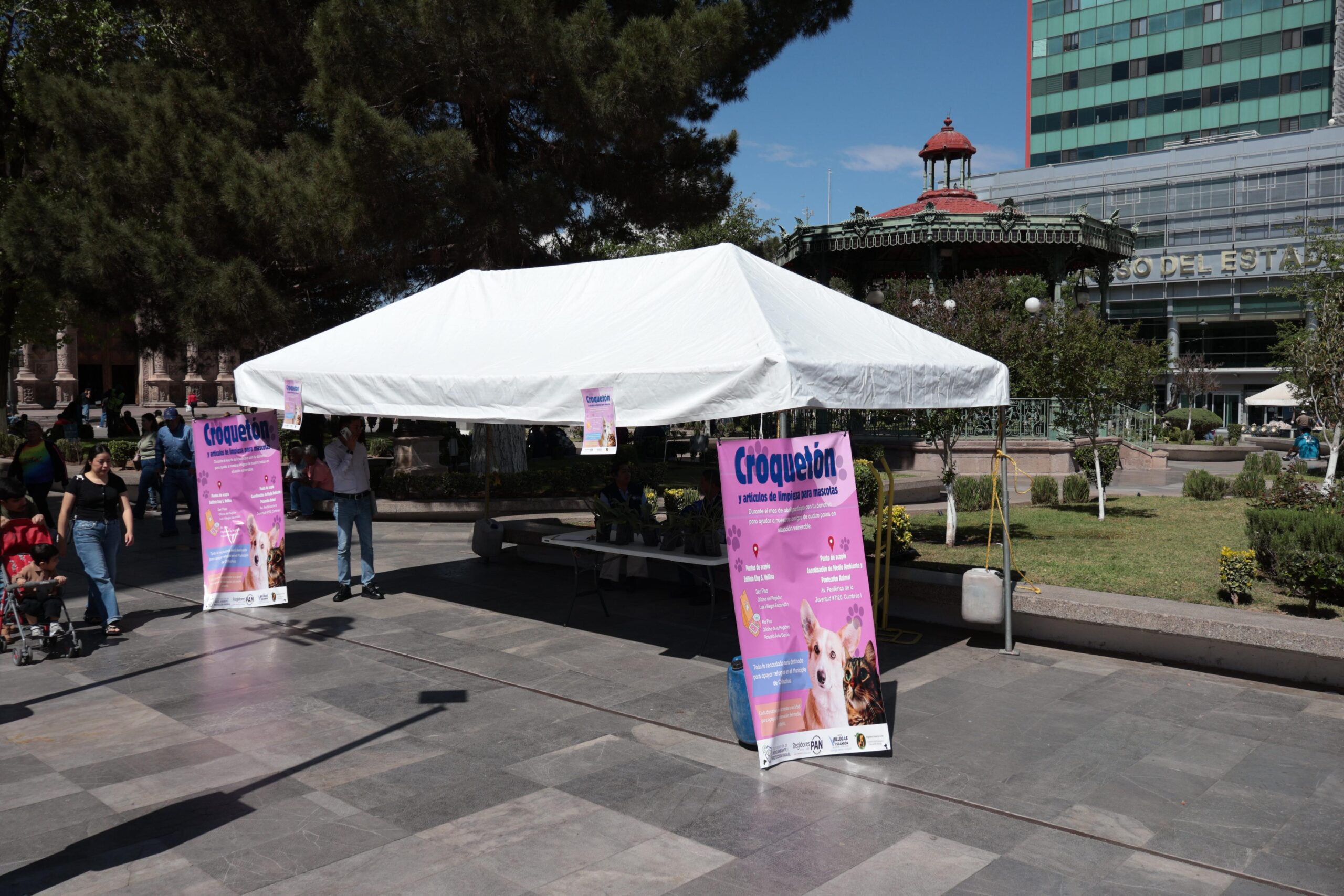 IMG-20260409-WA0118(2)