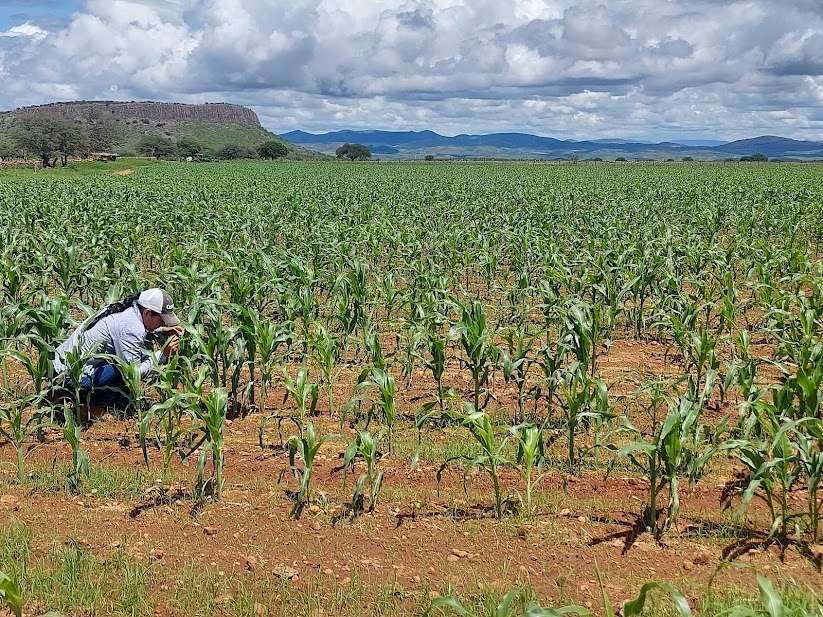 WhatsApp Image 2025-07-03 at 4.01.00 PM