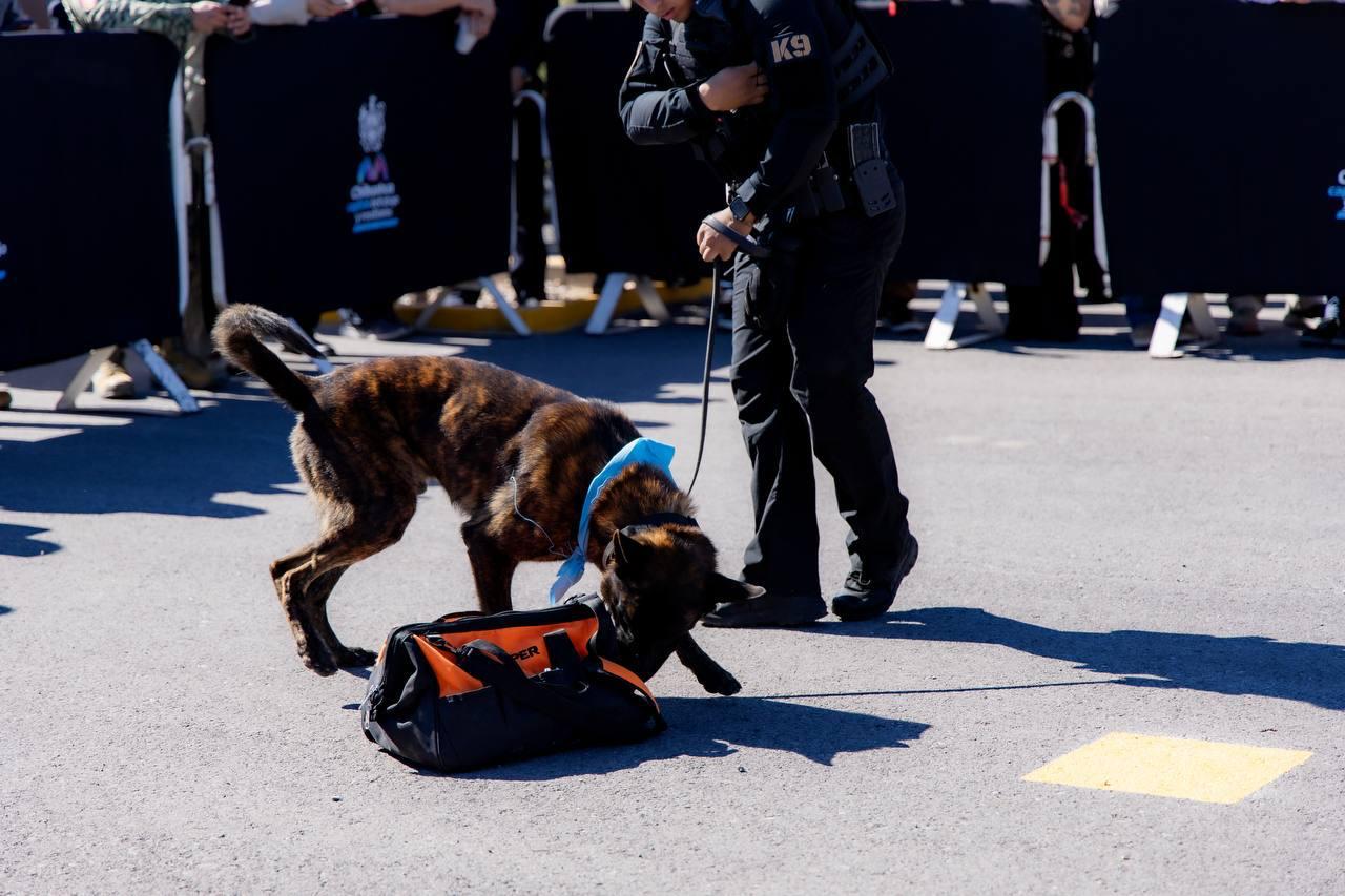 WhatsApp Image 2026-04-07 at 1.00.34 PM (2)