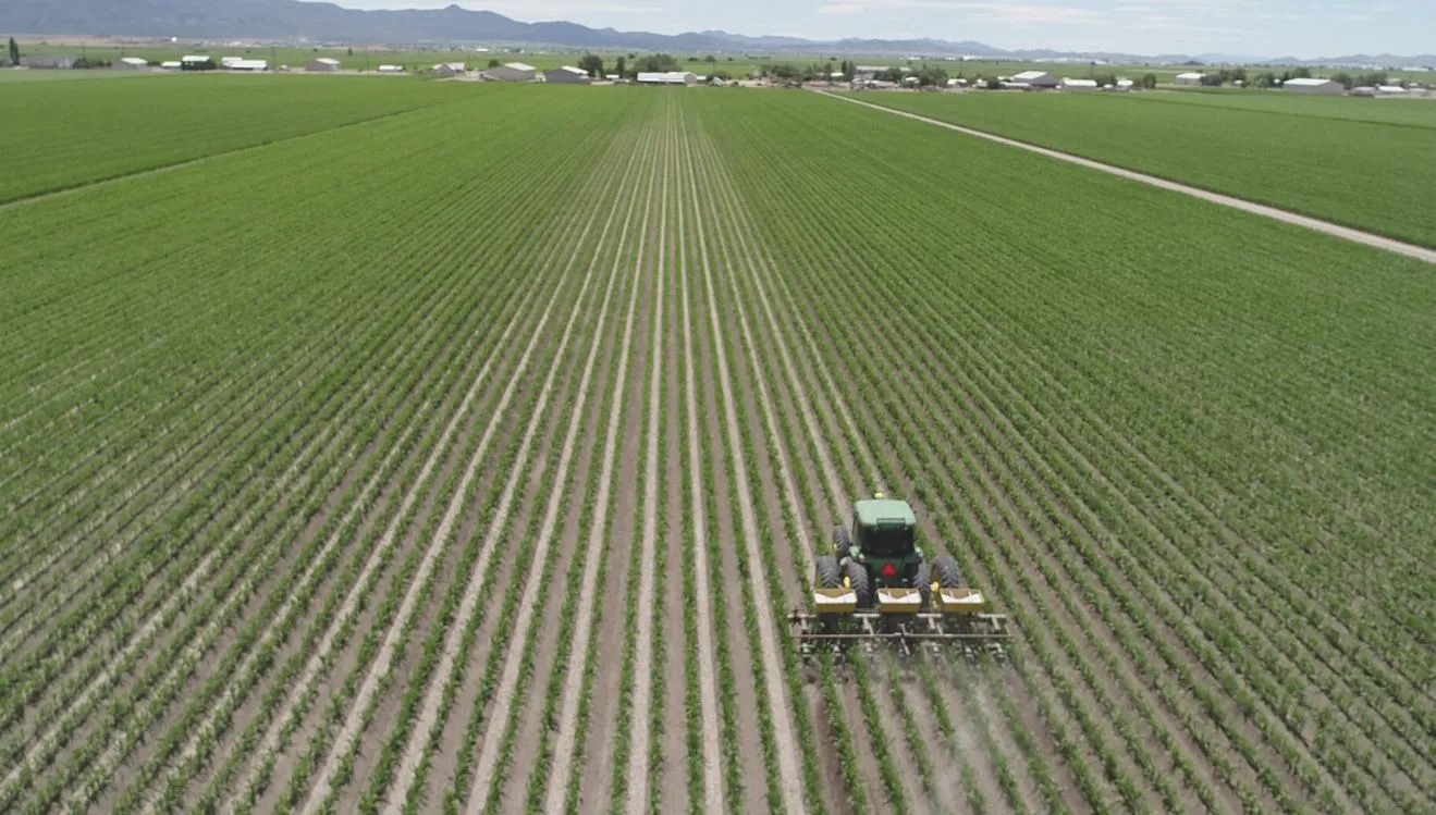 WhatsApp Image 2026-04-15 at 11.26.29 AM