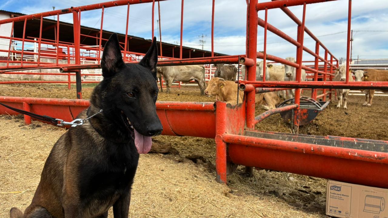 WhatsApp Image 2026-04-17 at 10.56.04 AM