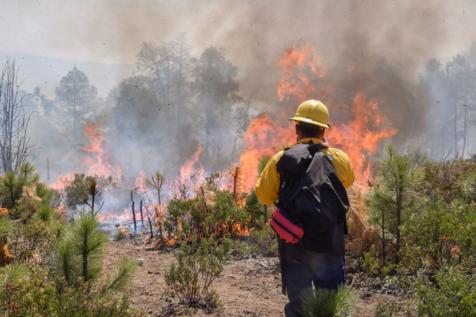 bca56d41-3679-4550-842a-e55868a47f68 (2)