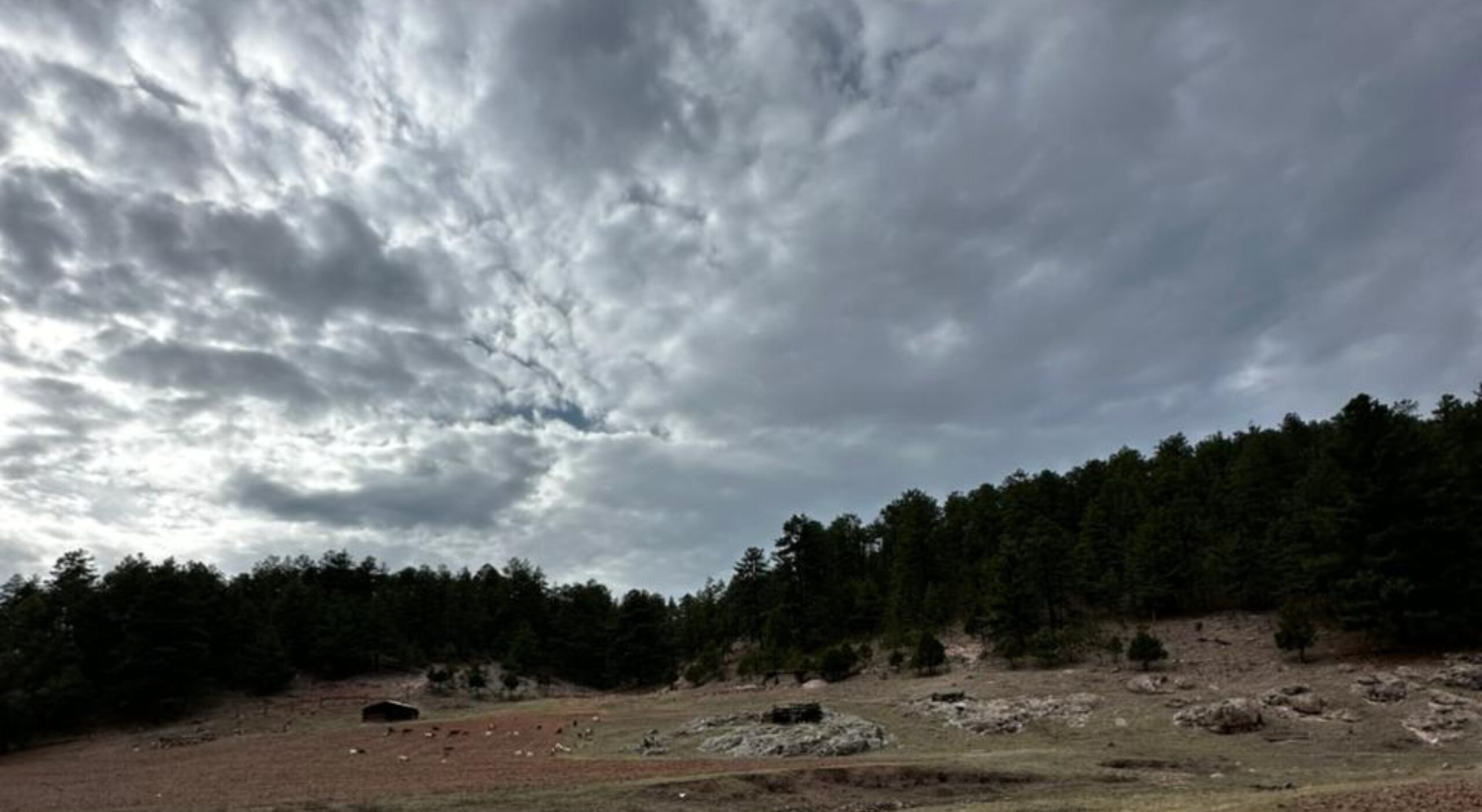 befunky_2026-3-1_10-38-49