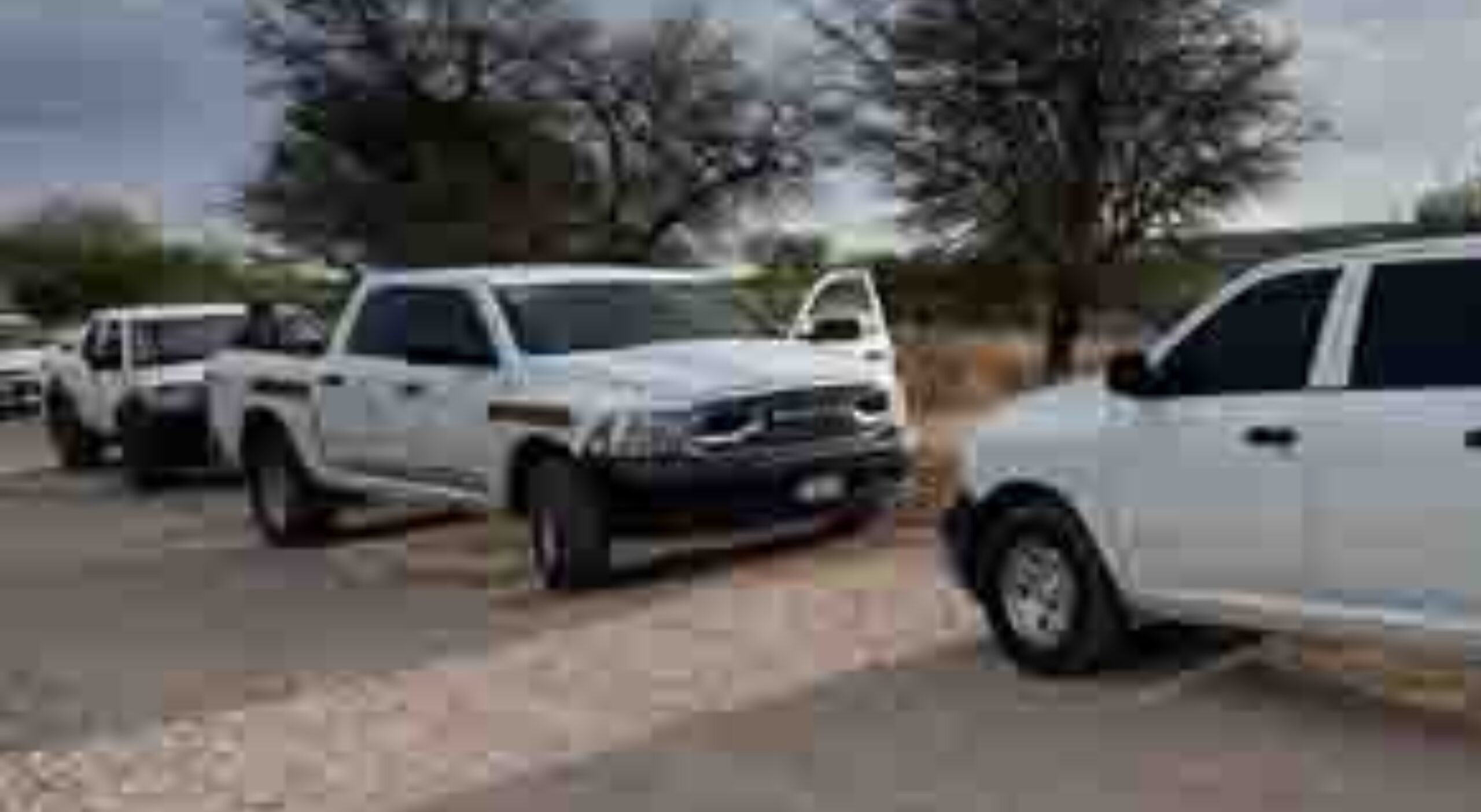 befunky_2026-3-1_10-58-34