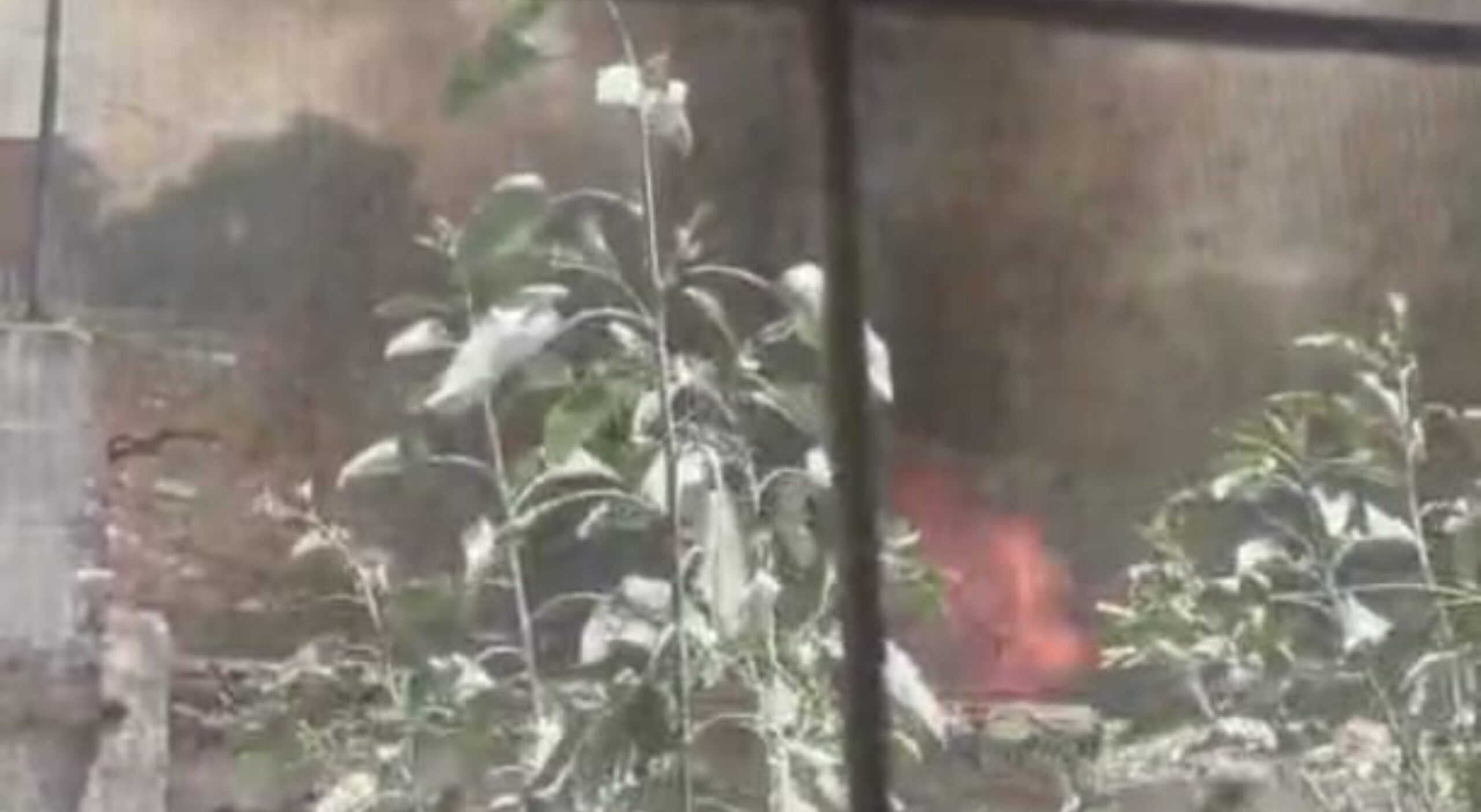 befunky_2026-3-1_8-25-55