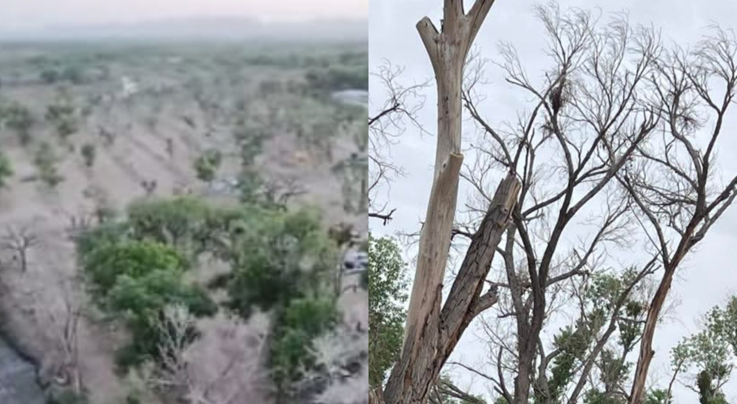 befunky_2026-3-2_12-41-59