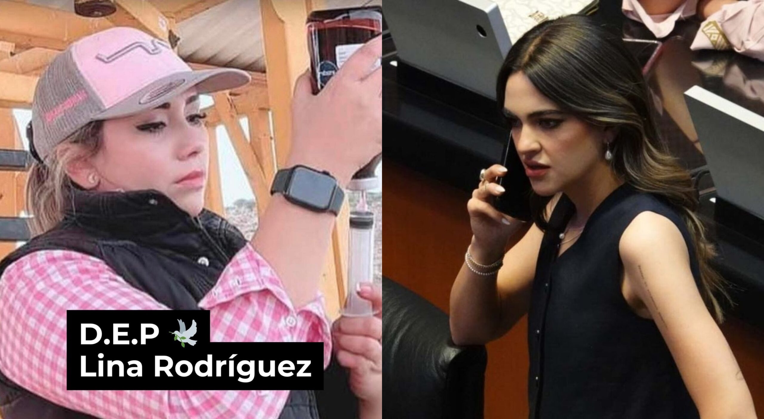 befunky_2026-3-4_6-18-35