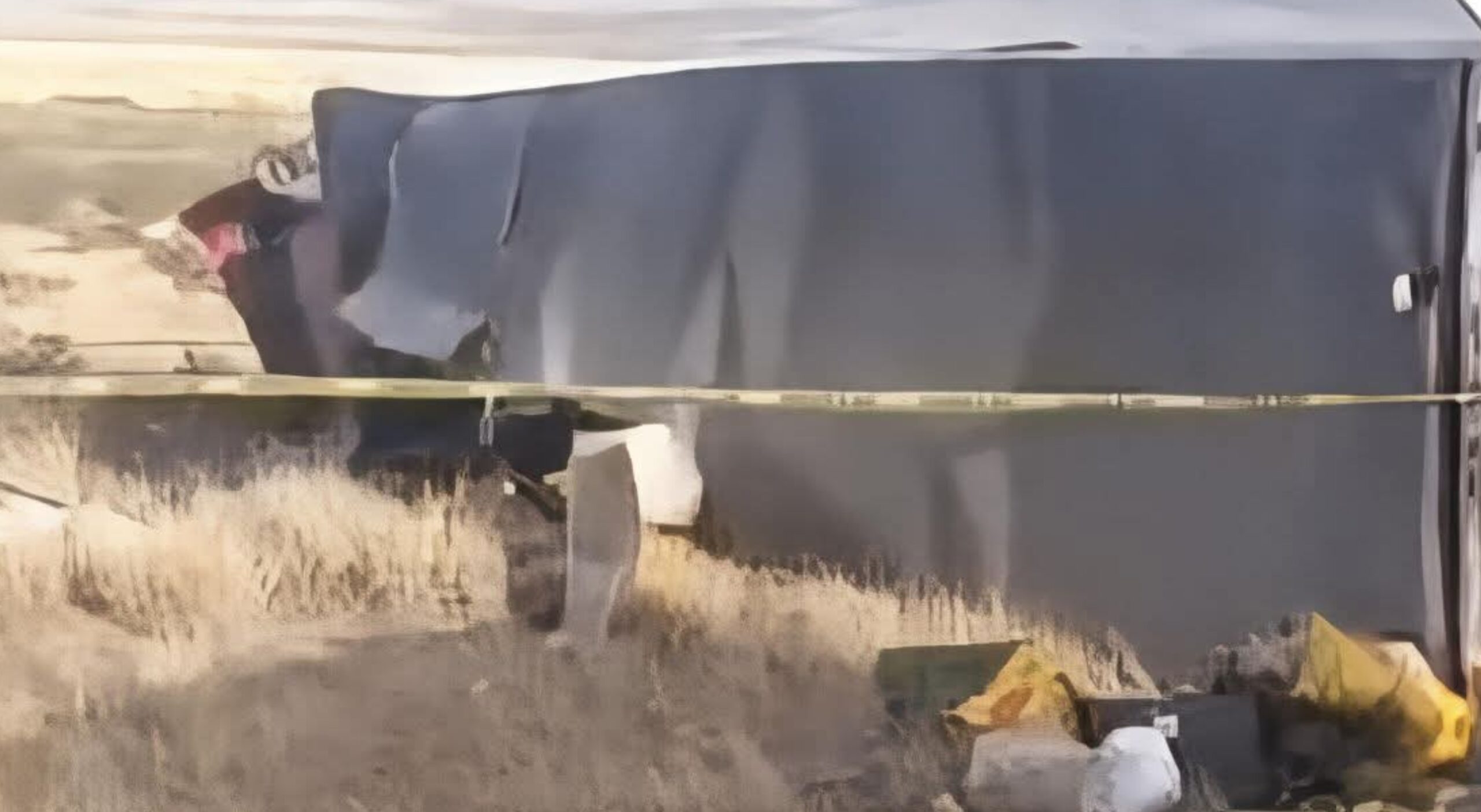 befunky_2026-3-5_6-54-34