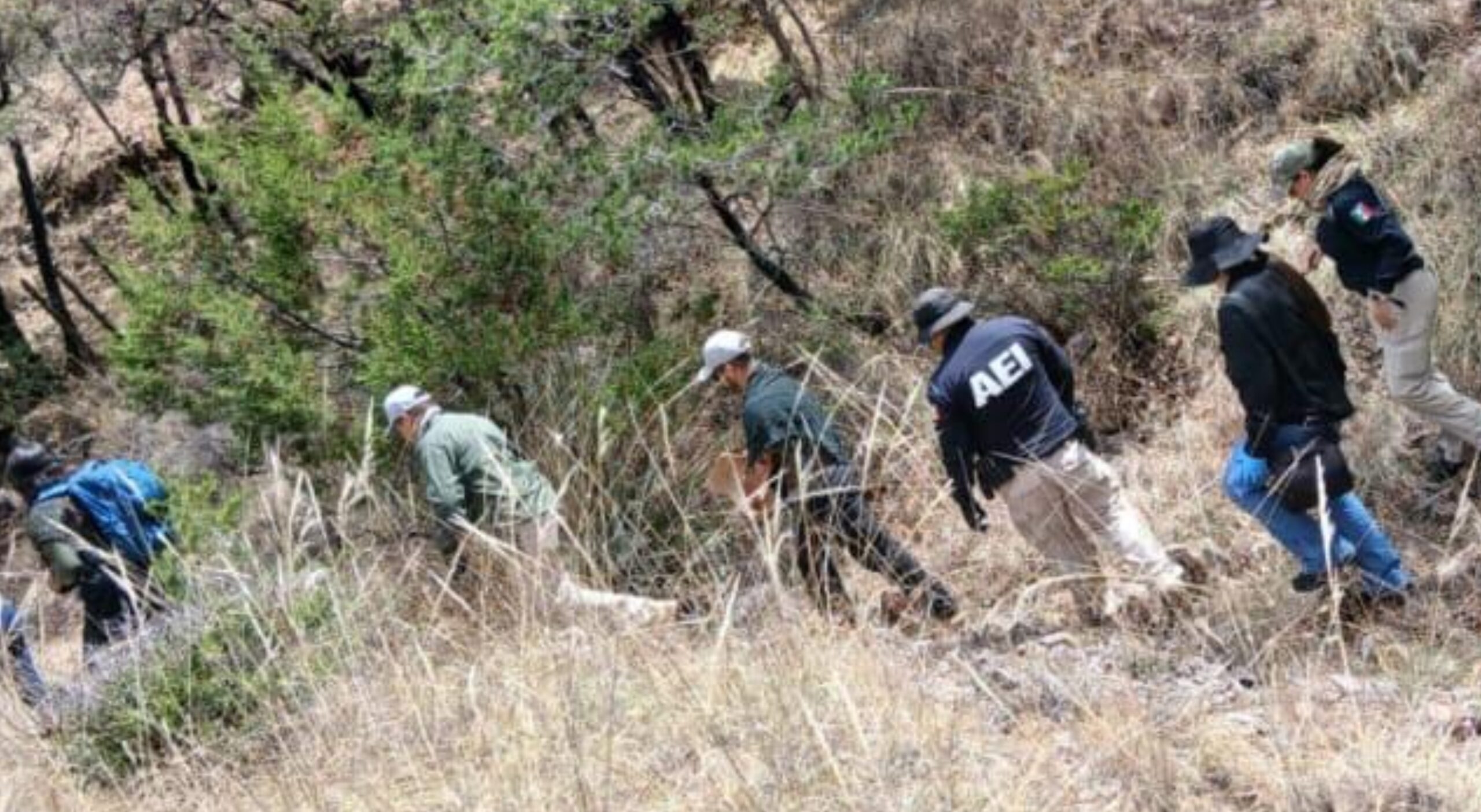 befunky_2026-3-5_7-34-23