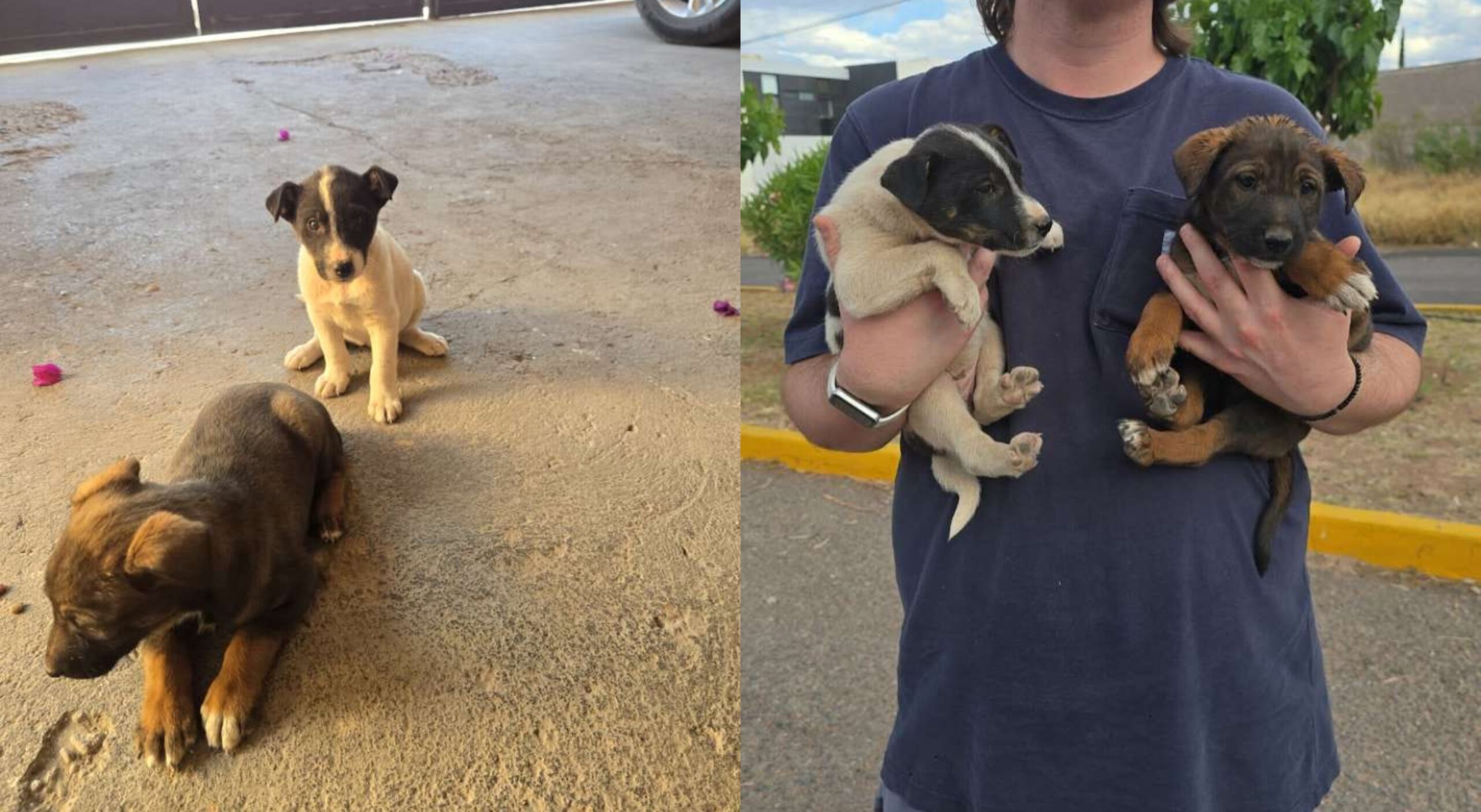 befunky_2026-3-5_7-46-8