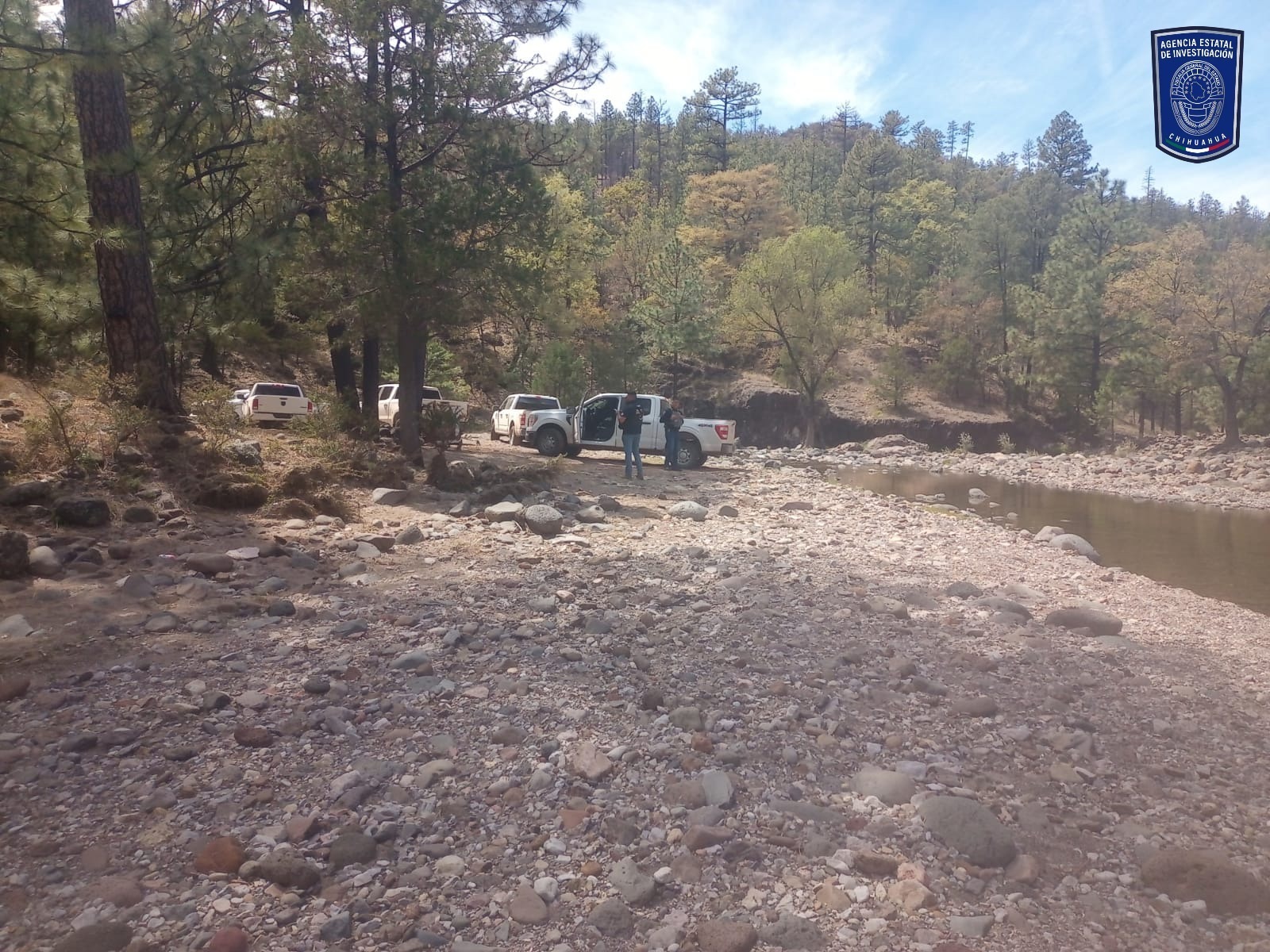 cb3d90e6-f037-4447-bc61-c17dcd02284c