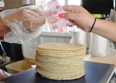 preven-que-kilo-de-tortilla-suba-hasta-4-pesos-por-aumento-de-harina-de-maiz-58a8921e-focus-0-0-373-267.webp