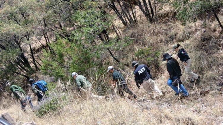 principal_operativo-busqueda-tiempo