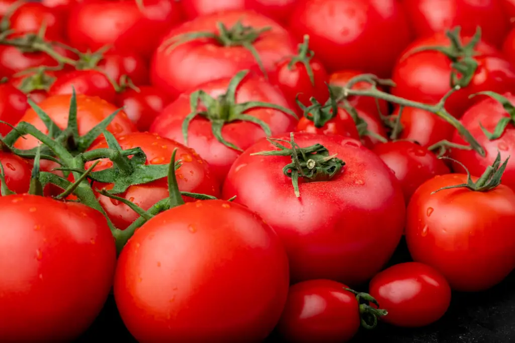 ripe-tomatoes-with-water-drops-as-background-side-view-1