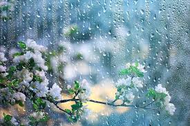 images (77)