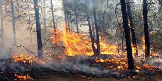 incendiosanjuanito (1)