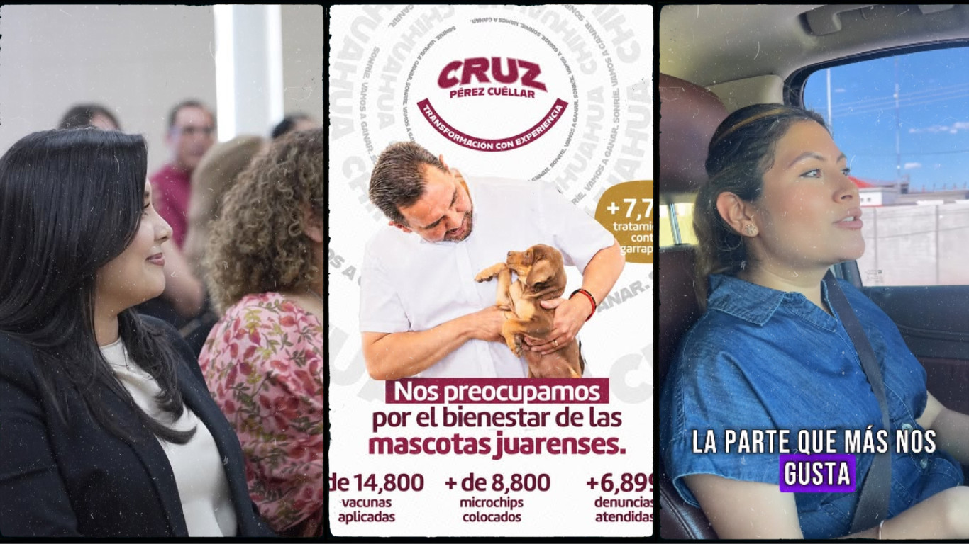 Galería de 2 imágenes