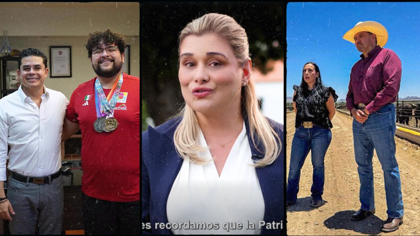 Galería de 2 imágenes (6)