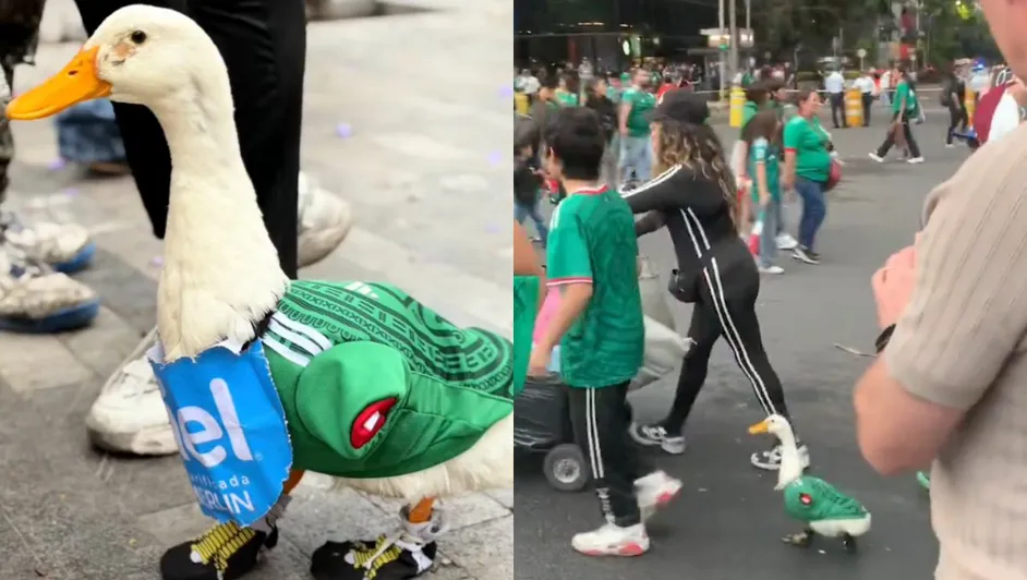 pato-merlin-vuelve-viral-tenis