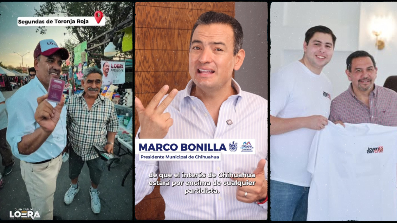 Galería de 2 imágenes (14)