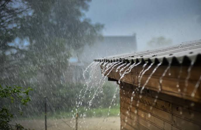 images - 2026-07-12T115128.861